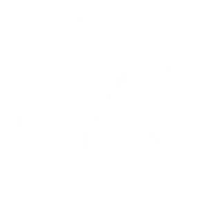 Rafael Setubal Logo